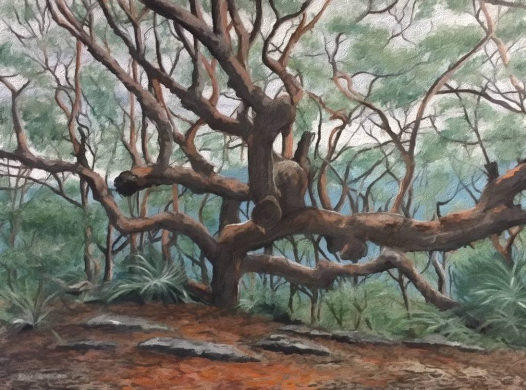 Embrace of the Elder Tree